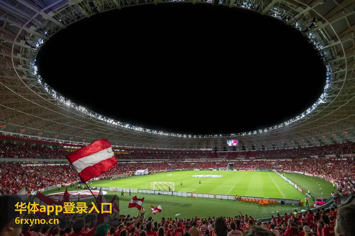 华体app登录入口异地登录提醒设置示意