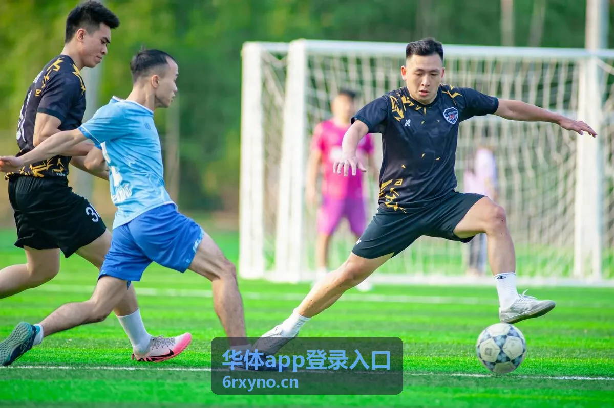 华体app登录入口绑定手机号与邮箱示意