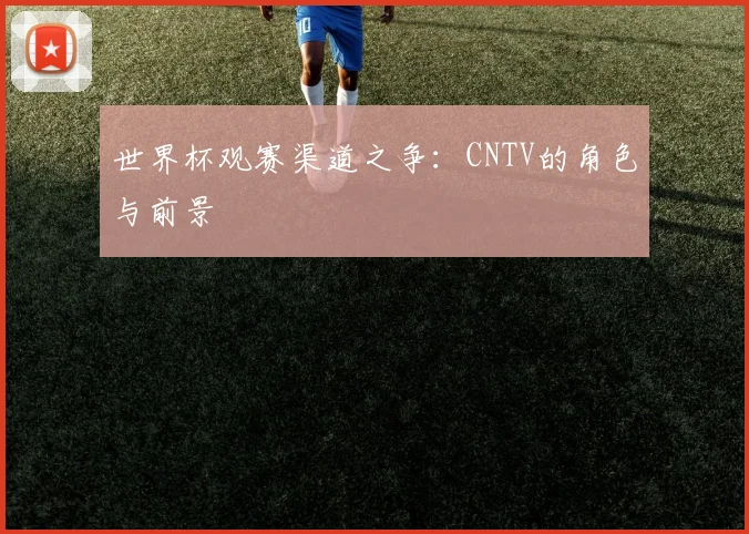 世界杯观赛渠道之争：CNTV的角色与前景