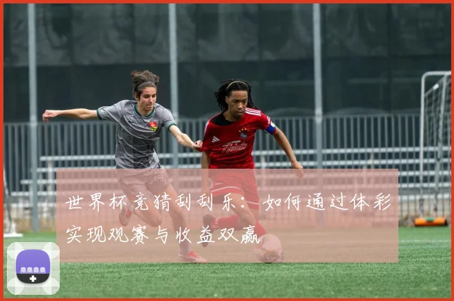 世界杯竞猜刮刮乐：如何通过体彩实现观赛与收益双赢