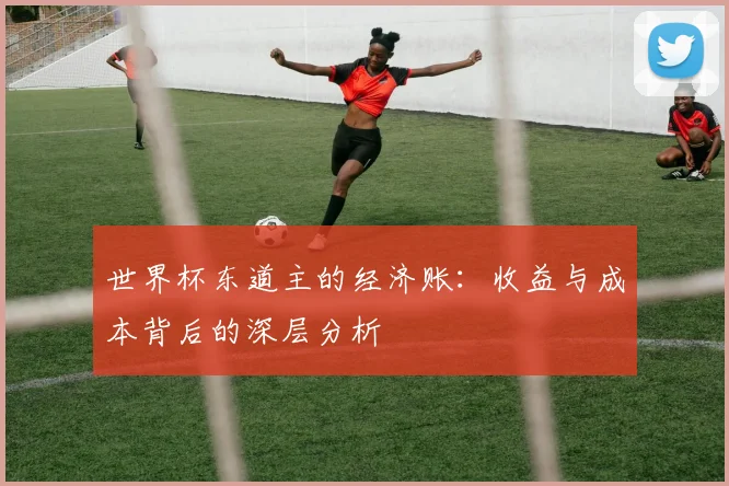 世界杯东道主的经济账:收益与成本背后的深层分析