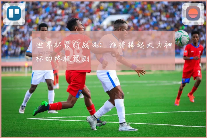 世界杯最新战况：谁将捧起大力神杯的终极预测