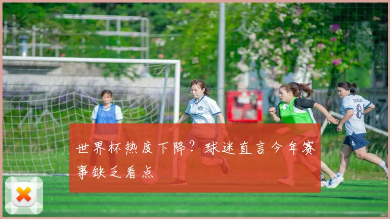 世界杯热度下降？球迷直言今年赛事缺乏看点