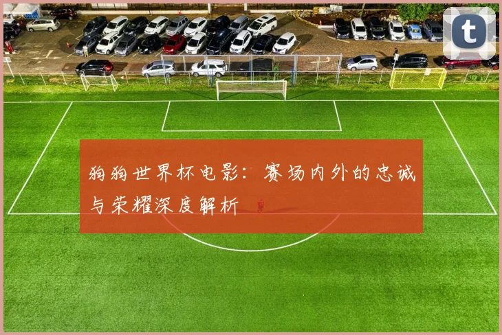 狗狗世界杯电影：赛场内外的忠诚与荣耀深度解析