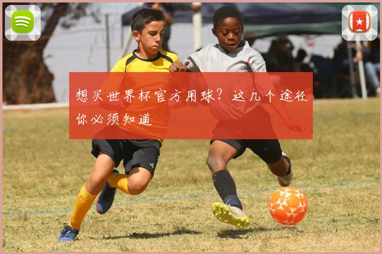 想买世界杯官方用球？这几个途径你必须知道