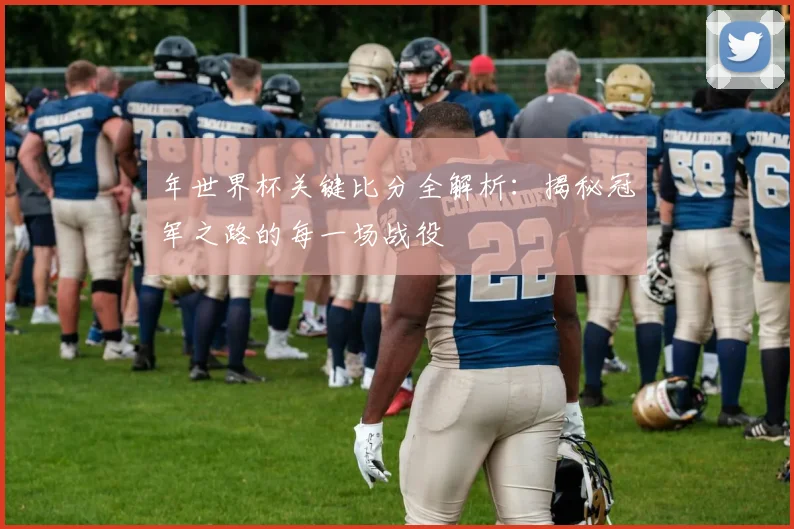 年世界杯关键比分全解析：揭秘冠军之路的每一场战役