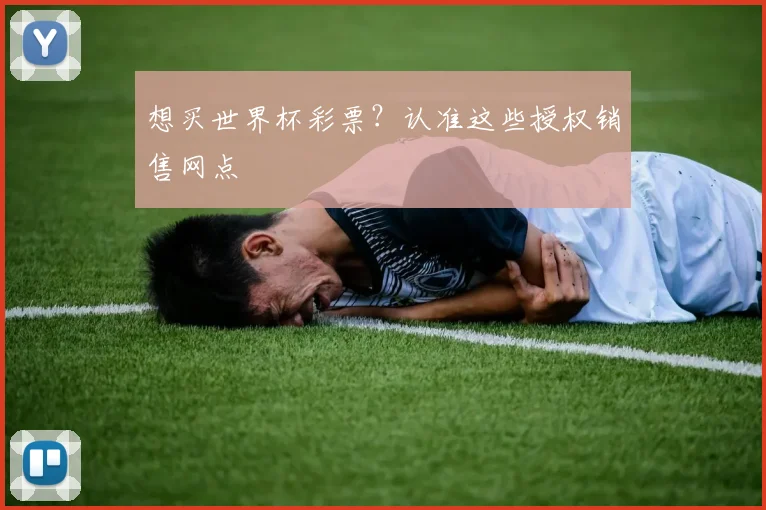 想买世界杯彩票？认准这些授权销售网点